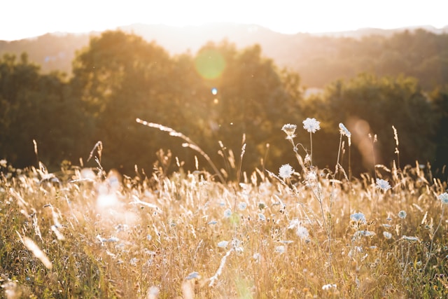 Is the Melbourne Property market warming early? What June is telling us about Spring 2025