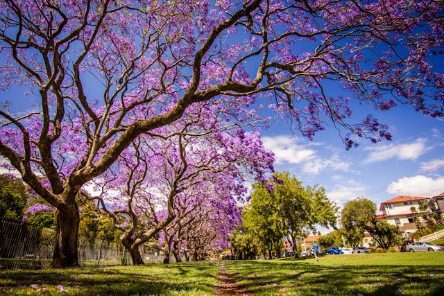 Ready or not, the Spring market has arrived – Melbourne Property Market Update August 2025